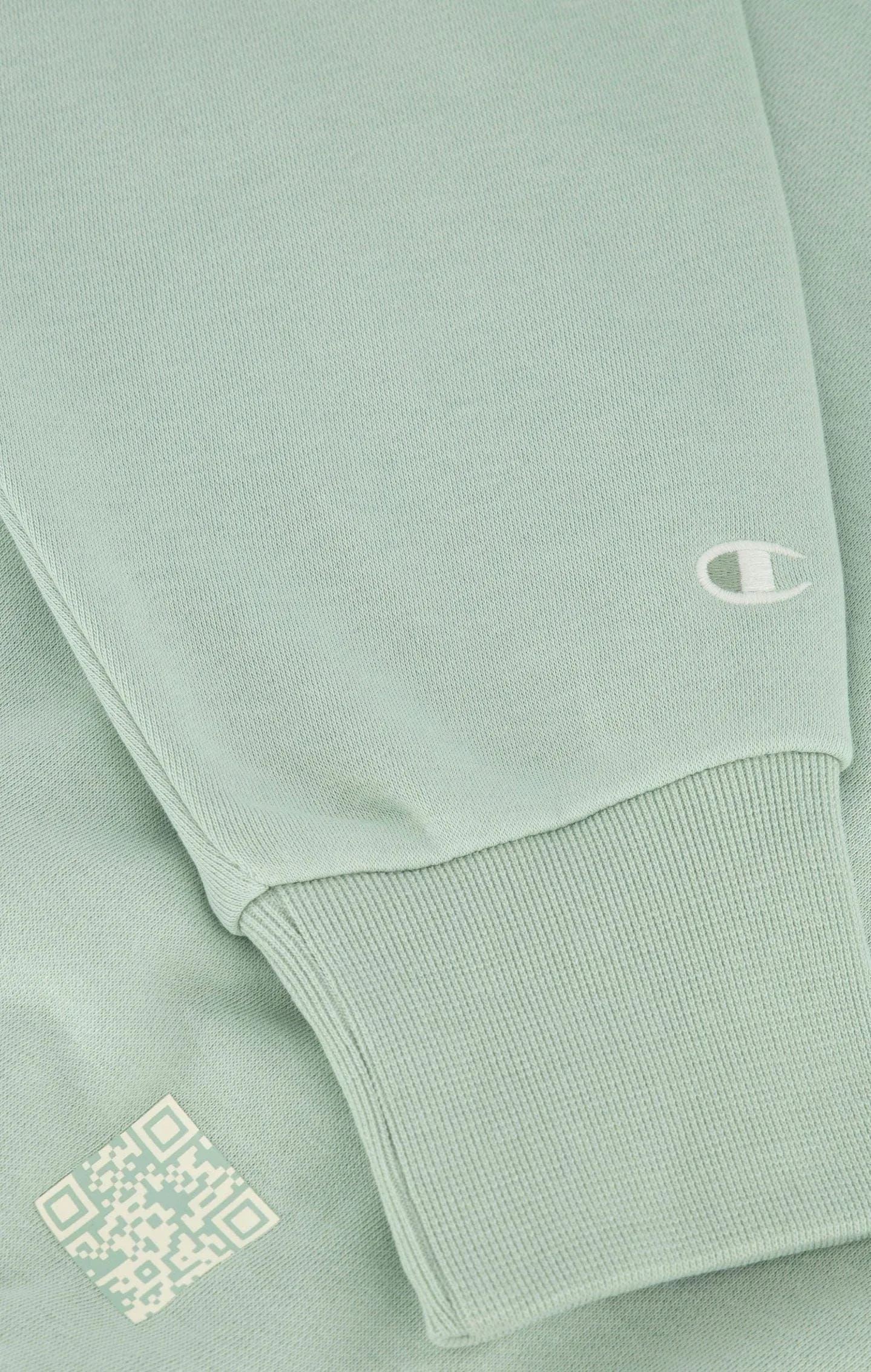 Champion Eco-Future Terry Hoodie - Frosty Green
