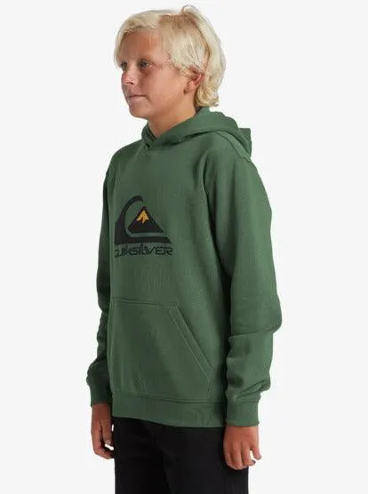 Hoodie Quiksilver Big Logo Youth Frosty Spruce