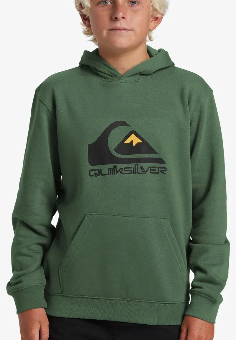 Hoodie Quiksilver Big Logo Youth Frosty Spruce