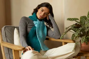 Knit Scarf Kit