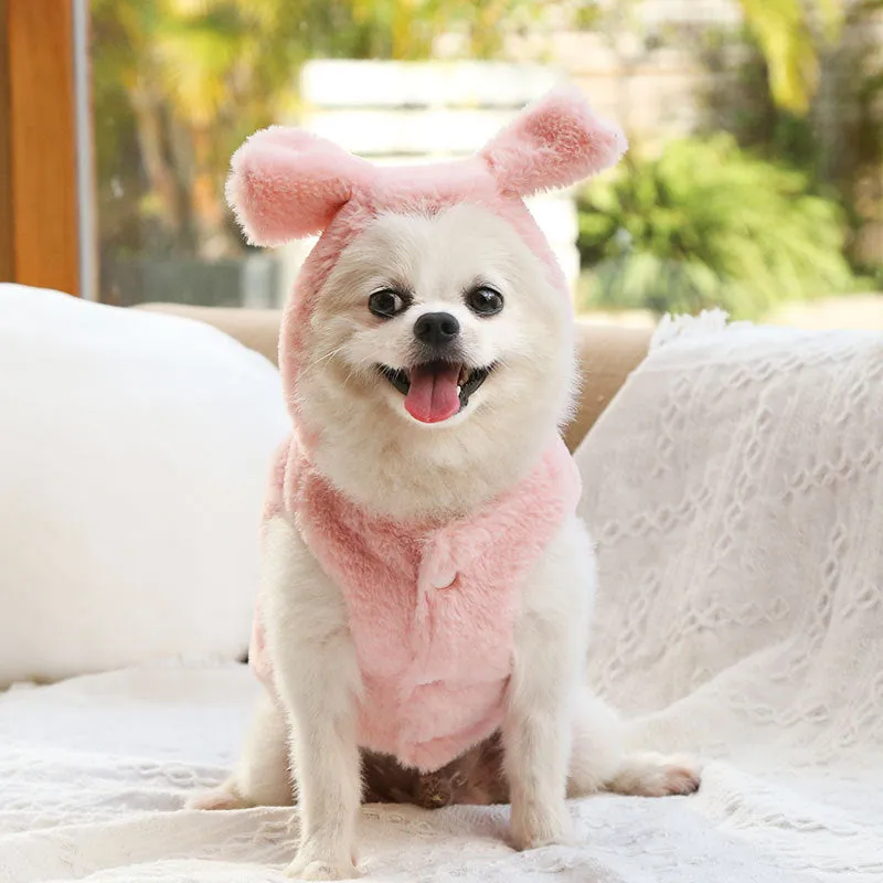 Pet Clothes Autumn and Winter New Dog Cat Clothes Fur Coat Bow Decoration